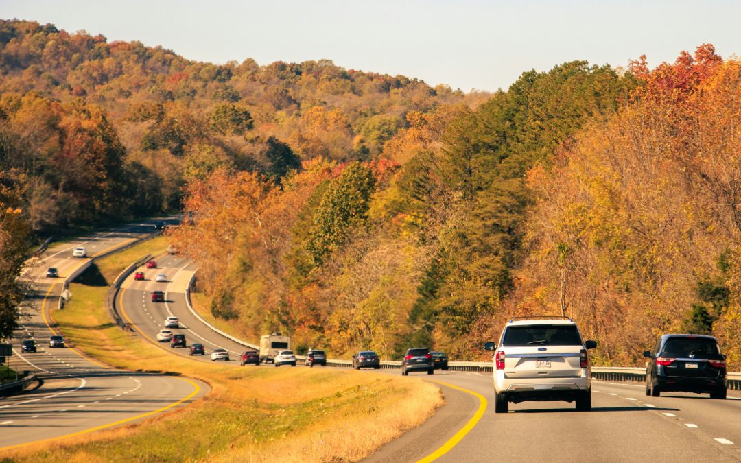 Imagine a Scene from a Comedic, Over-The-Top Family Road Trip Movie…
